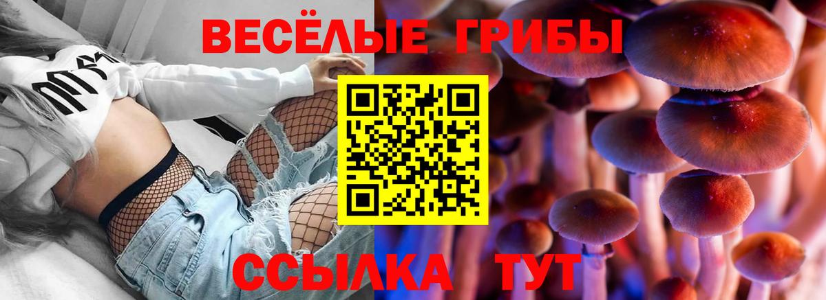 Псилоцибиновые грибы ЛСД Тамбов